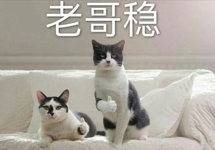 奥运足球冠军会有奖金吗_足球奥运会冠军谁最多_奥运会足球冠军2021