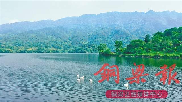 铜梁生活方式_铜梁生活网_铜梁宣传片