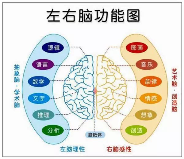 生活趣味英语_英语生活小妙招_19个有趣的生活技巧英语